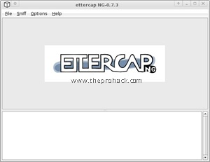 ettercap replace images ettercap replace images